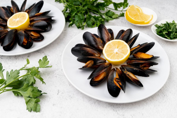 MOULES ESPAGNE